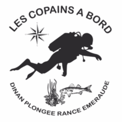 Les copains à bord