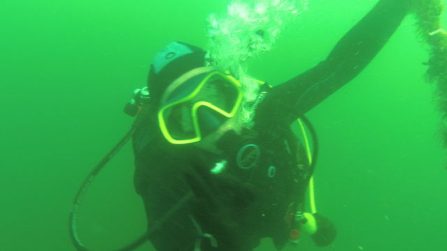 DCIM100MEDIA